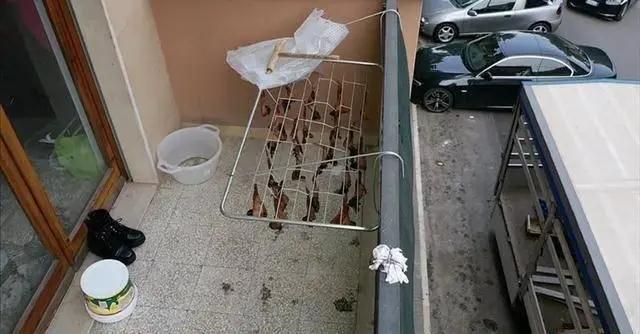 華人陽臺曬雞翅被看成曬蝙蝠，意大利人報警了，市長都來圍觀······