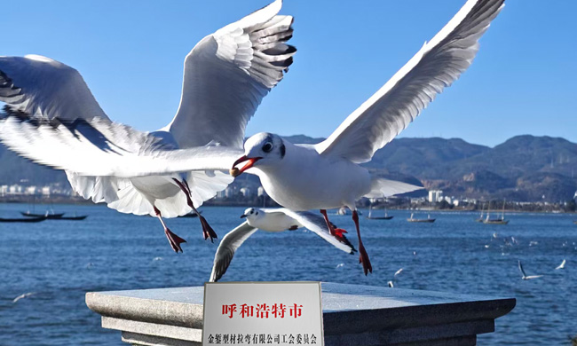 呼和浩特拉彎工藝原理與技術(shù)特點(diǎn)